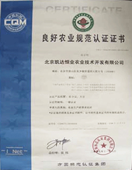 北京凯达恒业农业技术开发有限公司荣誉资质与行业地位解析